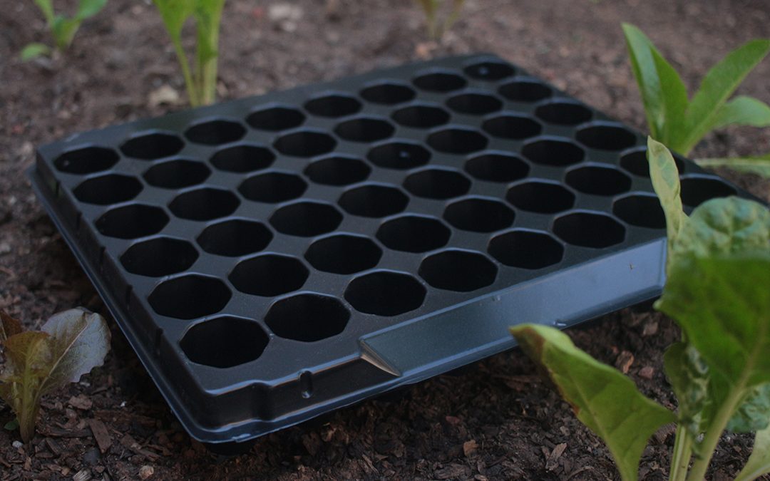 MAKE YOUR SPRING SHINE BRIGHTER WITH OUR SELECTION OF PLANT TRAYS