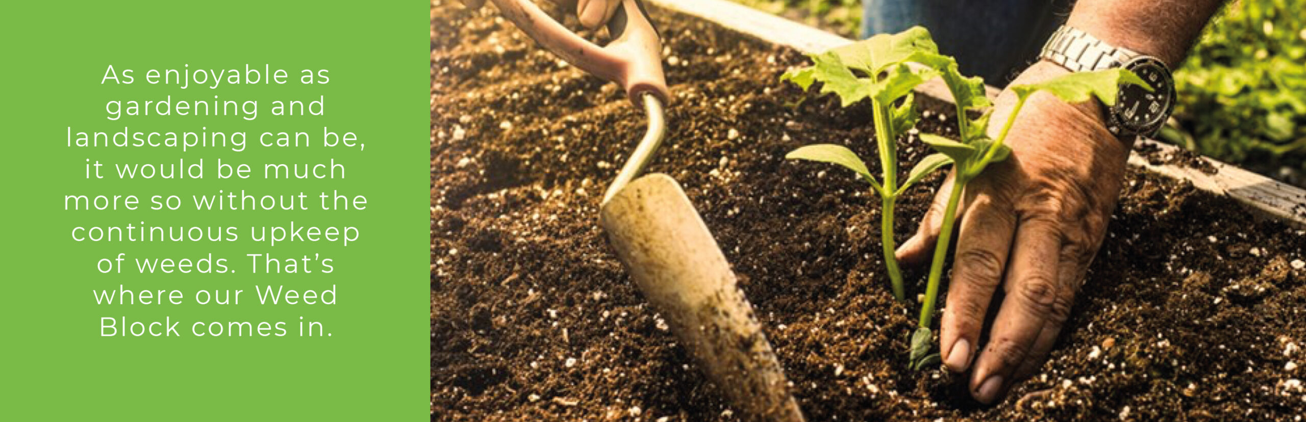 Weed Block Damax Group